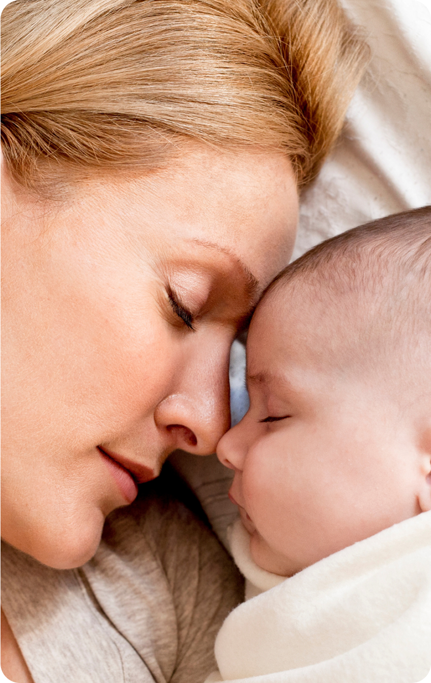 Egg donor bank